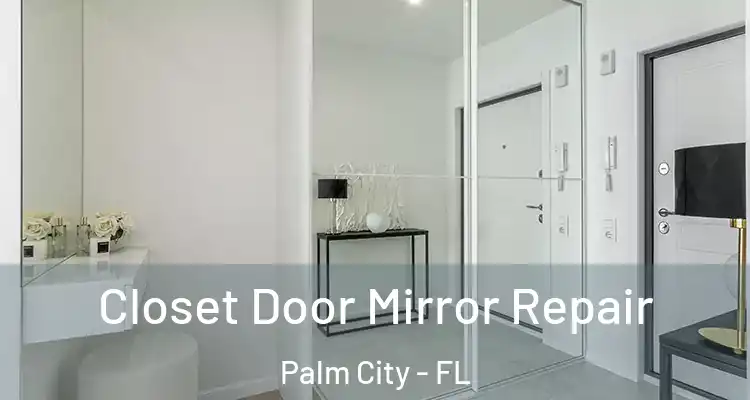  Closet Door Mirror Repair Palm City - FL