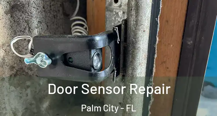  Door Sensor Repair Palm City - FL