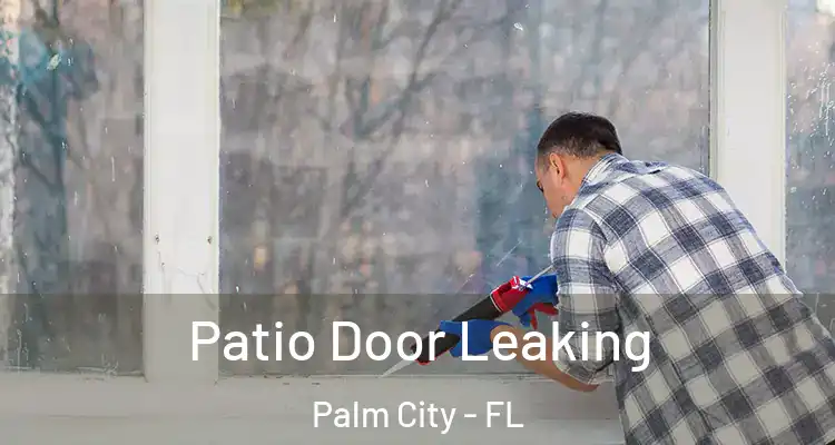  Patio Door Leaking Palm City - FL
