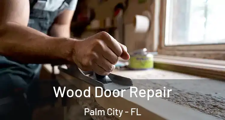  Wood Door Repair Palm City - FL
